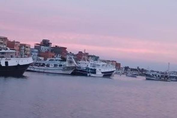 ترسانة
بحرية
متنوعة
تعمل
فى
صيد
الأسماك
بعزبة
البرج..
صور