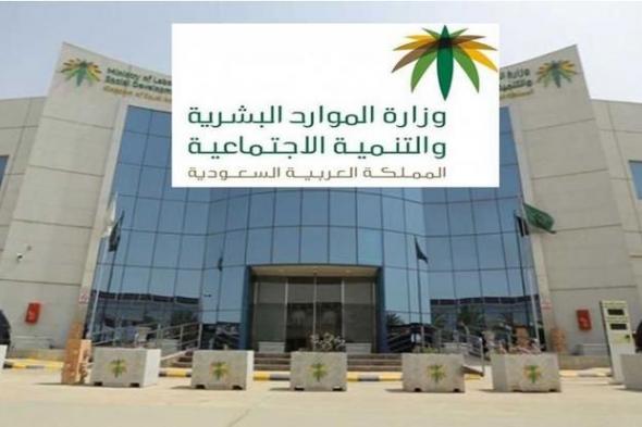 10
ضوابط
لتسمية
الجمعيات
الأهلية..
حظر
الأسماء
المضللة
والمشابهة
للجهات
الرسمية