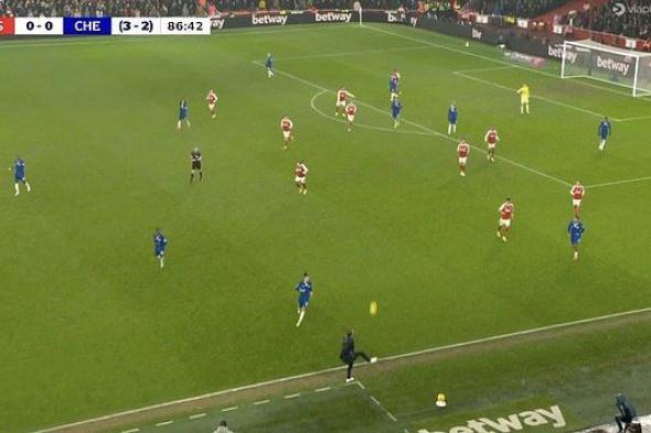 ستيفاو
      مصدوم
      من
      مدرب
      تشيلسي..
      وكوكوريلا
      يكشف
      ألاعيبه