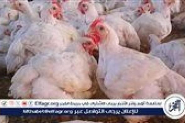 تعرف
      على
      اسعار
      الفراخ
      البيضا
      والبلدى
      اليوم
      الإثنين
      9فبراير
      2026
      فى
      المنيا