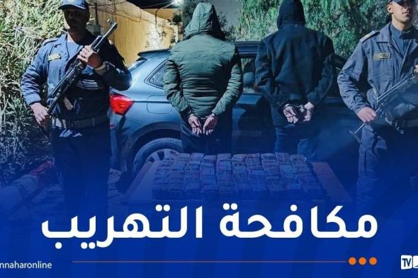 جمارك..
حجز
أكثر
من
11
ألف
قرص
"بريغابالين"
بالجلفة
