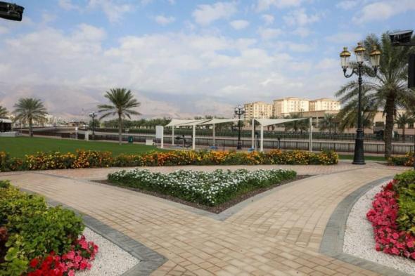 ربع
      مليون
      زهرة
      تحسن
      المظهر
      الجمالي
      في
      دبا
      الحصن