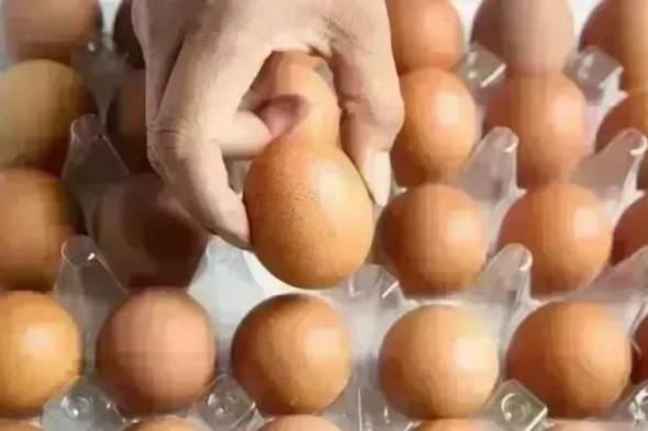 سعر
      كرتونة
      البيض
      في
      بورصة
      الدواجن
      وللمستهلك
      اليوم
      الجمعة
      13-2-2026