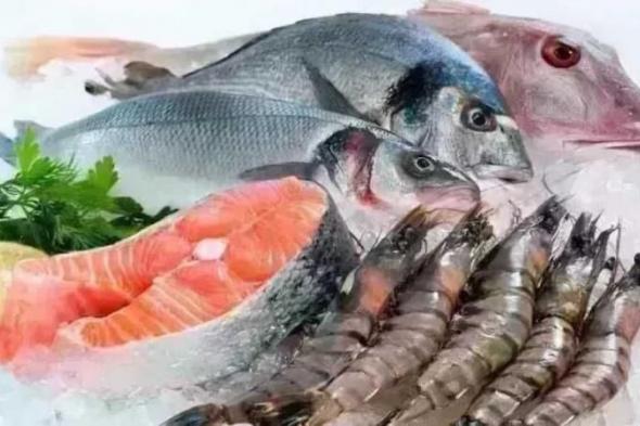 أسعار
      الأسماك
      اليوم
      الجمعة
      13
      فبراير
      2026..
      الجمبري
      بكام