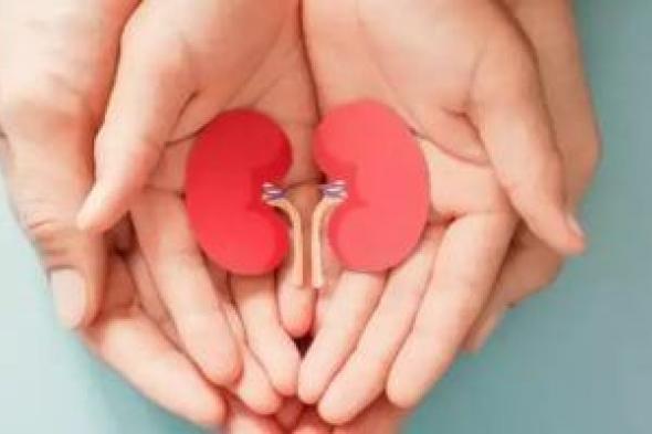 لماذا
تتجاهل
النساء
مشكلات
الكلى؟
عادات
تضر
بصحتك
وطرق
الوقاية