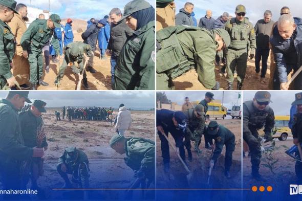 تيارت
..
قيادة
الدرك
الوطني
تشارك
الفاعلين
بحملة
التشجير
بقصر
الشلالة