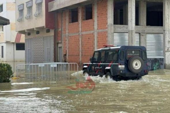 بالبلدي
      :
      بعد
      فيضانات
      مخيفة..
      القصر
      الكبير
      في
      سباق
      مع
      الزمن
      لاستعادة
      الحياة
      قبل
      رمضان
      (فيديوهات
      وصور)