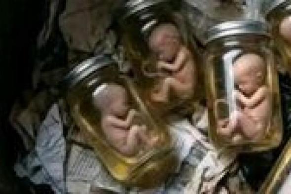 نيابة
      المنيا
      تعاين
      موقع
      عيادة
      طبيب
      النساء
      بعد
      العثور
      على
      9
      أجنة