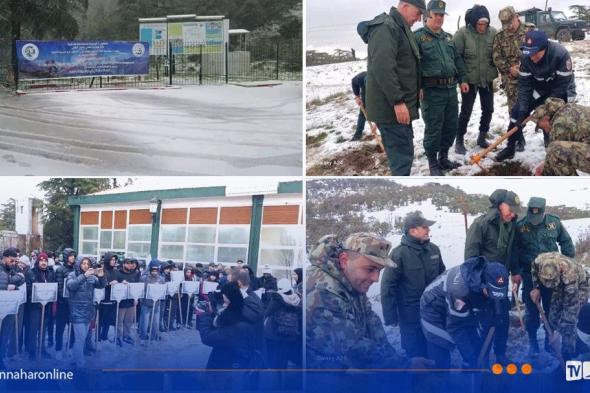 تيسمسيلت..
انطلاق
الطبعة
الـ
16
لرياضة
المشي
في
الجبال
و
الـ
9
للصالون
الوطني
للتصوير
الفوتوغرافي 