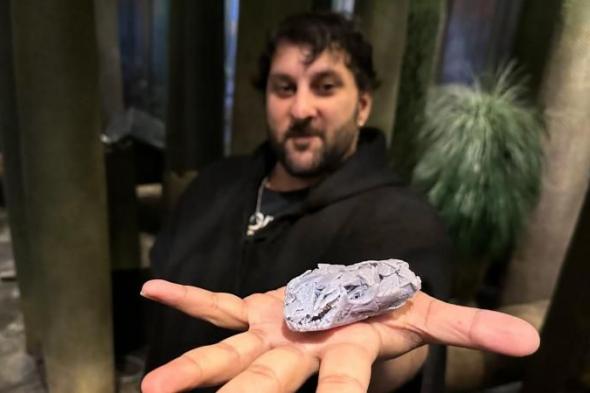 بحجم
      كرة
      قدم..
      اكتشاف
      كائن
      قد
      يكون
      من
      أوائل
      الحيوانات
      البرية
      العاشبة