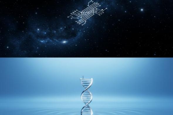 الإمارات
      تحدد
      مخالفات
      التجارة
      الرقمية
      وغرامات
      تصل
      إلى
      100
      ألف
      درهم