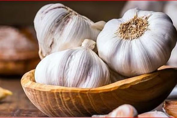 استشاري:
    تقليل
    الثوم
    للجلطات
    لم
    يثبت
    علميا