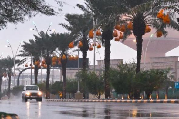 طقس
الأحد..
أمطار
وضباب
وأجواء
باردة
في
عدة
مناطق