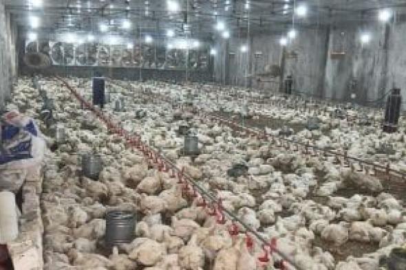 الصعيد
يجني
ثمار
التنمية:
تسليم
8
مشروعات
إنتاجية
وصناعية
2026