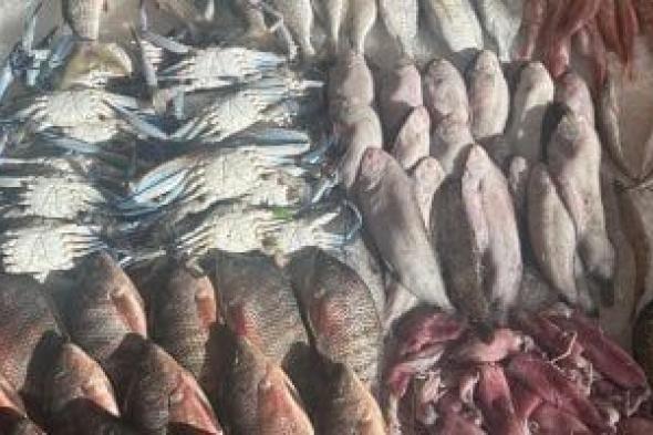 انتعاشة
في
سوق
الأسماك
الحضاري
ببورسعيد..
البوري
والجمبري
والسيبيا
بالمقدمة