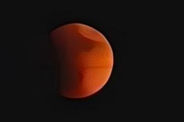 خسوف
القمر
الكلى
2026
فى
رمضان..
آخر
قمر
دموى
قبل
2028