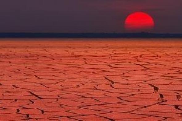 كيف
يؤثر
مكيف
الهواء
على
الاحتباس
الحرارى..
تكلفة
مناخية
ضخمة