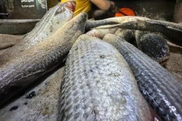 المهن
الشاقة
فى
رمضان..
صاحب
حرفة
شوي
الأسماك:
30
سنة
أمام
النار..
صور