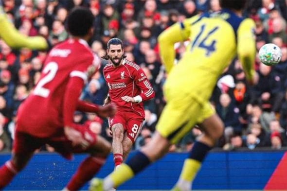 بالبلدي
      :
      رجل
      مباراة
      ليفربول
      وتوتنهام
      في
      الدوري
      الإنجليزي