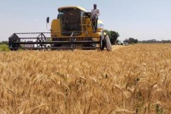 تحذيرات
وتوصيات
عاجلة
من
مركز
المناخ
لمزارعى
القمح