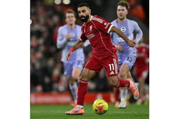 كيفية
      مشاهدة
      مباراة
      ليفربول
      وبرايتون
      في
      الدوري
      الإنجليزي
      الممتاز