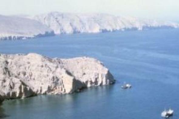 بيان
دولى
مشترك
بشأن
حماية
الملاحة
فى
مضيق
هُرمز