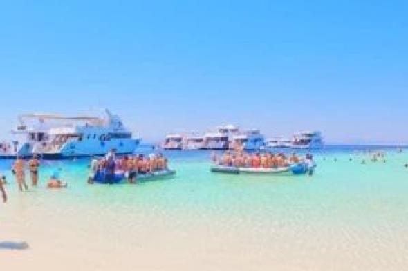 جزيرة
سيال..
أيقونة
السحر
والجمال
في
البحر
الأحمر