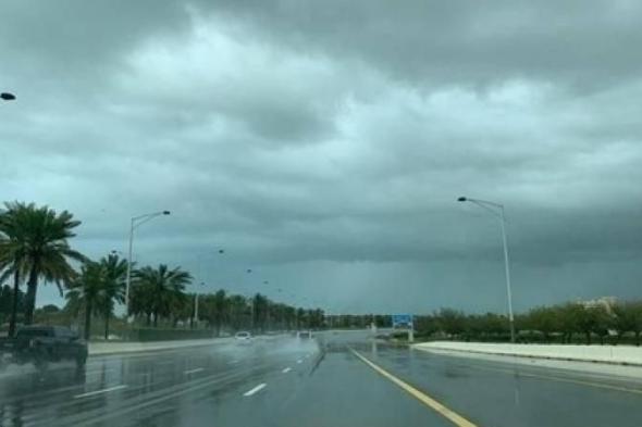 أبوظبي..
      أمطار
      غزيرة
      لليوم
      الثاني
      على
      التوالي
      (فيديو)