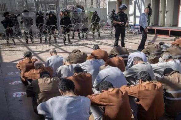 إعدام
      الأسرى
      الفلسطينيين..
      "جريمة
      حرب"
      إسرائيلية
      مكتملة
      الأركان
      بـ"القانون"