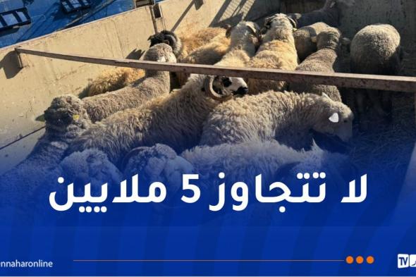 وصول
أزيد
من
17
ألف
من
الأغنام
المستوردة
إلى
وهران