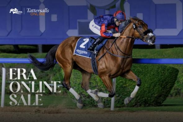 مزاد
      هيئة
      الإمارات
      لسباق
      الخيل
      يسجل
      زيادة
      154%