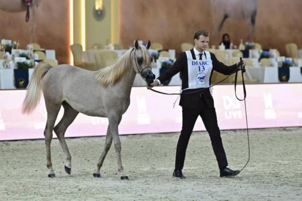 المرابط
      الإماراتية
      تتألق
      في
      افتتاح
      بطولة
      دبي
      الدولية
      للجواد
      العربي