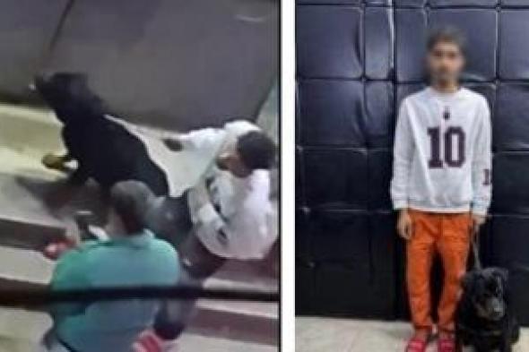 بعد
سقوط
مسجل
خطر
يستخدم
كلب
في
الترهيب..
عقوبة
رادعة
تنتظر
المتهم