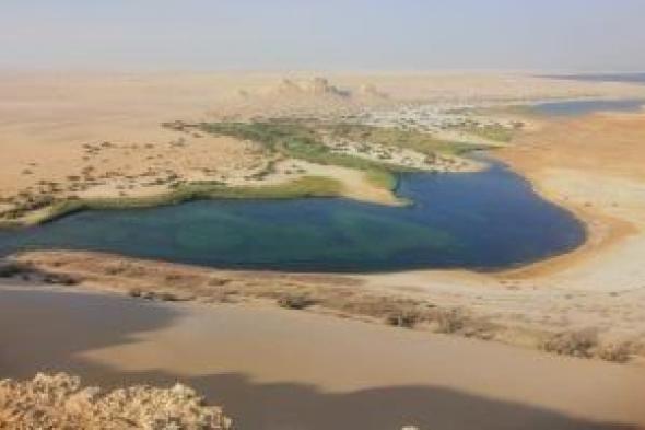 منال
عوض
تدعو
المصريين
للاحتفال
بأعياد
الربيع
وسط
الطبيعة
والمحميات
الطبيعية