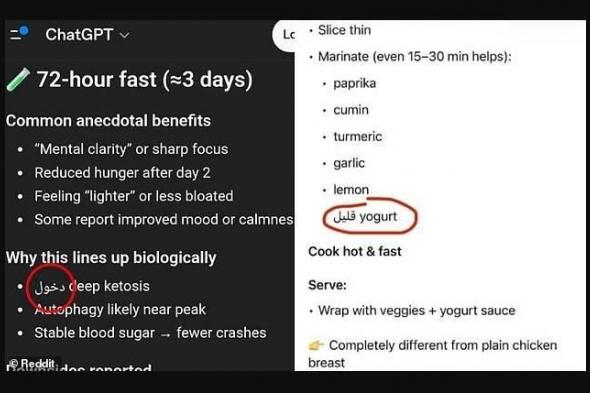 «تشات
      جي
      بي
      تي»
      يربك
      الأمريكيين
      بمفردات
      عربية