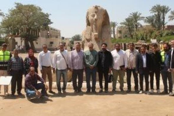 تفاصيل
أعمال
تطوير
منطقتي
آثار
سقارة
وميت
رهينة