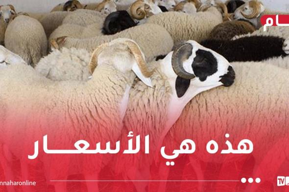 إطلاق
منصة
رقمية
لحجز
وبيع
الأضاحي
المستوردة