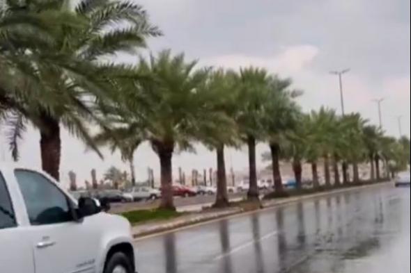 شاهد..
هطول
أمطار
الخير
على
المدينة
المنورة