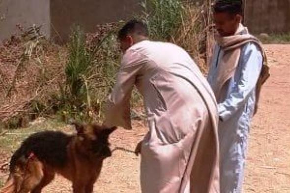 الزراعة
تعلن
تحصين
وتعقيم
أكثر
من
25
ألف
كلب
ضال
ضمن
حملة
مكافحة
السعار