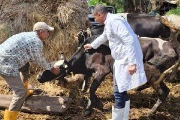 الثلاثاء..
انطلاق
الحملة
القومية
للتحصين
ضد
الحمى
القلاعية
والوادي
المتصدع
فى
المنوفية