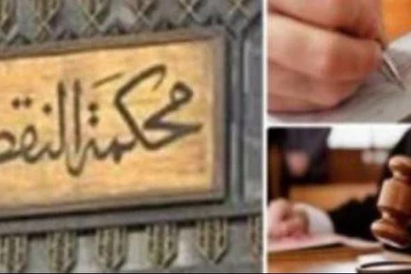 النقض تلغى حكم بطلان عضوية نائبى مجلس النواب عن دائرة منيا القمح بالشرقية