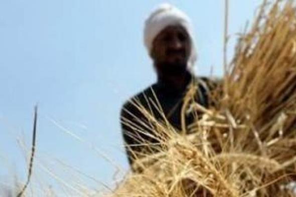 لماذا
يعد
ختام
شهر
"برمودة"
العيد
الحقيقي
للفلاح
فى
مصر؟