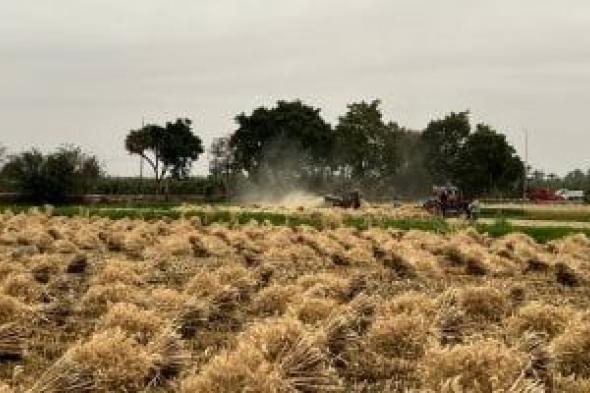 اليوم
آخر
"برمودة"..
ماذا
تعرف
عن
شهر
الحصاد؟