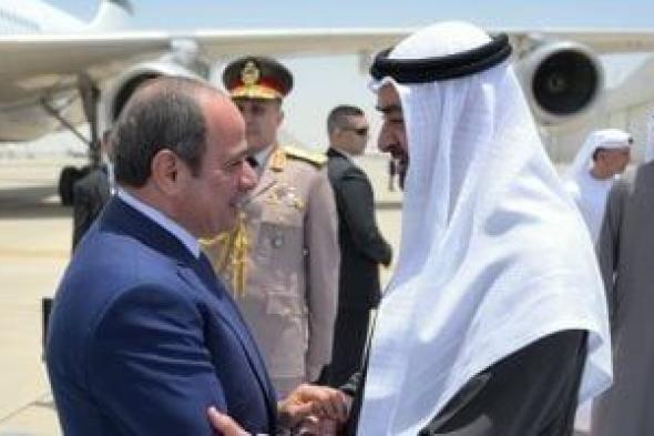 نائب:
جولة
الرئيس
السيسى
الخليجية
تؤكد
تحرك
مصر
لاحتواء
التصعيد
بالمنطقة