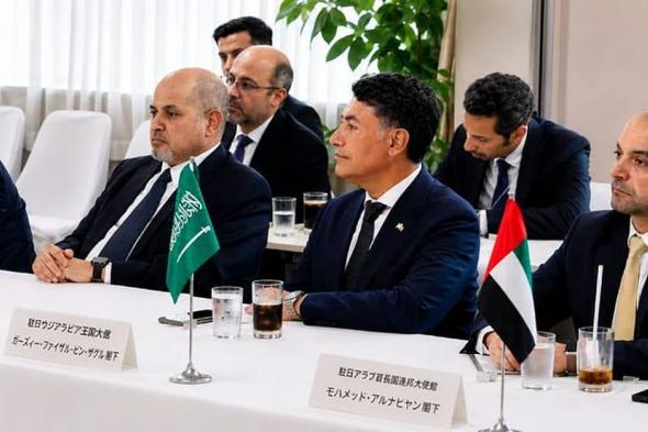 سفير
    المملكة
    لدى
    اليابان
    يبحث
    تعزيز
    التعاون
    السياسي
    والاقتصادي
    مع
    الحزب
    الليبرالي
    الديمقراطي