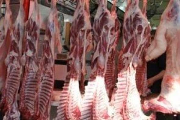 غرفة
عمليات
مركزية
وطرح
لحوم
بأسعار
مخفضة..
وزارة
التموين
تستعد
لـ
عيد
الأضحى
