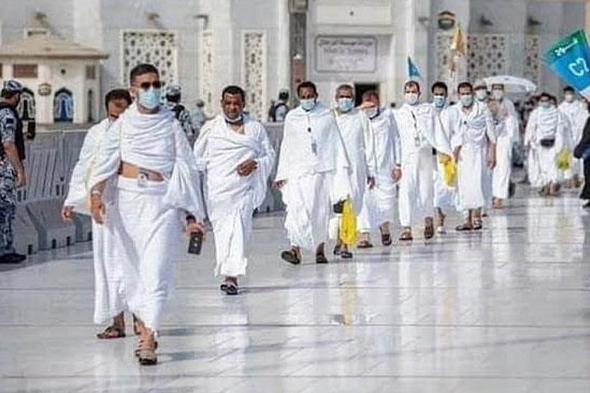 «هدية»
    تطلق
    برامجها
    التشغيلية
    لخدمة
    أكثر
    من
    3
    ملايين
    حاج
    ومعتمر
    وزائر