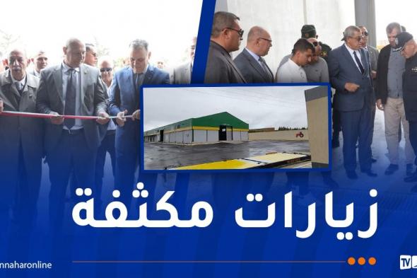 تخزين
الحبوب
واستقبال
المحاصيل
الزراعية..تعليمات
صارمة
من
ولاة
الجمهورية