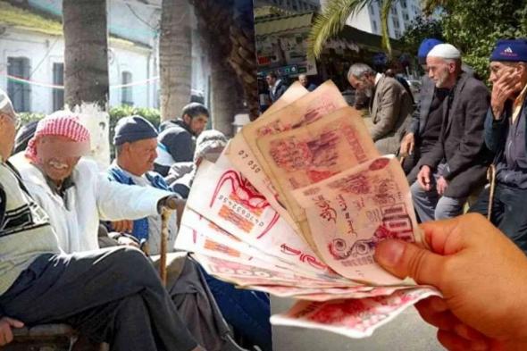 جديد
المتقاعدين
..
تخفيضات
تصل
إلى
50
بالمائة