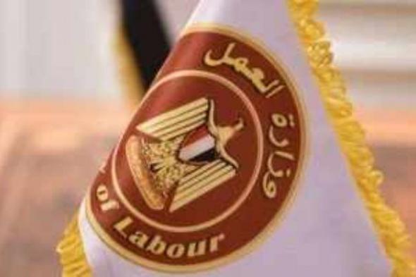 فرص عمل لسائقي النقل الثقيل والمعدات بميناء دمياط برواتب تصل إلى 25 ألف جنيه